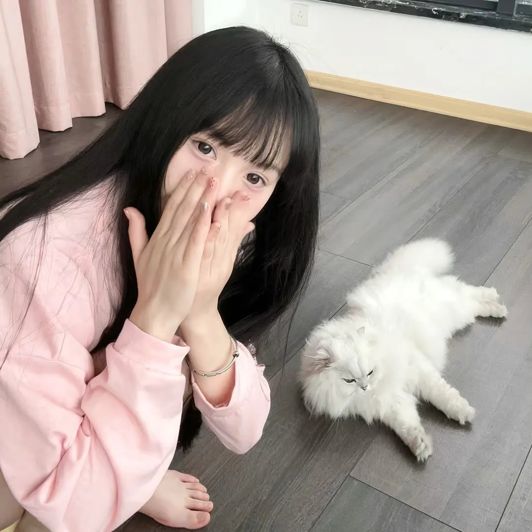 二十美圆